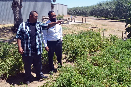 John Lozano and Michael De Leon inspect Samuel's House garden that its clients helped to plant and harvest.